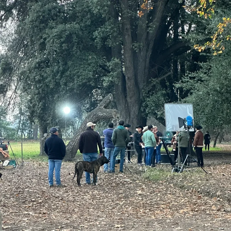 Mesa de trabajo 1 copia 15_14_11zon